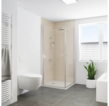 Modernes Badezimmer mit Duschkabine, Toilette, Handtuchwärmer und Zimmerpflanze