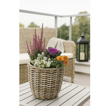 Dekorative Blumen und Pflanzen in einem geflochtenen Korb auf einem Tisch im Freien.