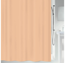 Badezimmer mit Duschvorhang