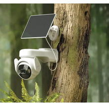Außenkamera mit Solarpanel an einem Baum befestigt