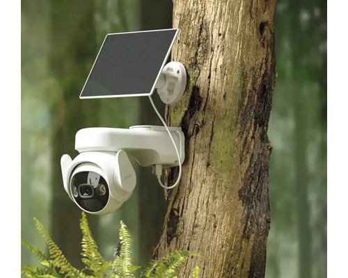 Außenkamera mit Solarpanel an einem Baum befestigt
