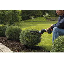 Ein Mann schneidet mit einer Akku-Heckenschere kugelförmige Büsche im Garten.