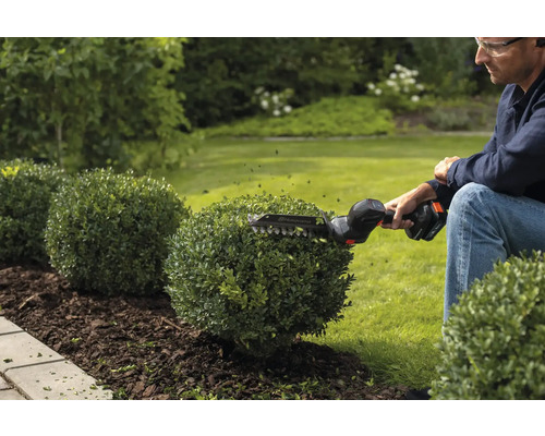 Ein Mann schneidet mit einer Akku-Heckenschere kugelförmige Büsche im Garten.