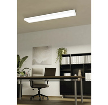 Deckenleuchte in einem Büro mit Schreibtisch, Bürostuhl und Regal.