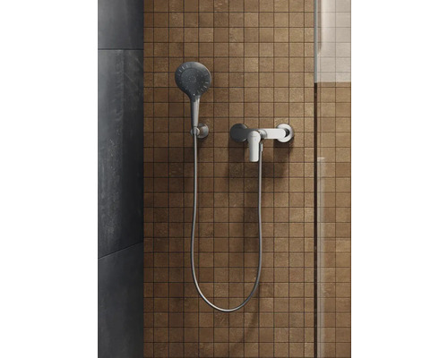 Brausegarnitur mit Handbrause und Armatur an der Wand