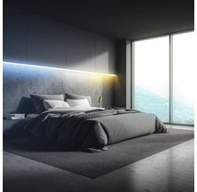 Modernes Schlafzimmer mit Bett, Teppich und großem Fenster