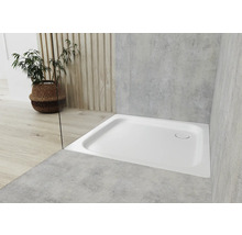 Rechteckige Duschwanne im Badezimmer mit Pflanze