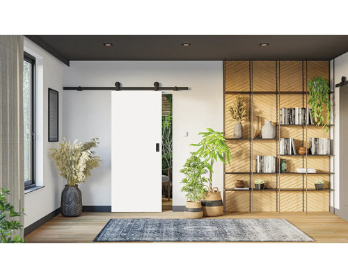 Modernes Wohnzimmer mit Schiebetür, Regal und Dekorationen