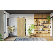 Innenraum mit Schiebetürsystem, Bücherregal und Zimmerpflanzen für eine gemütliche Atmosphäre.