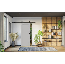 Wohnraum mit Schiebetür, Bücherregal und dekorativen Pflanzen