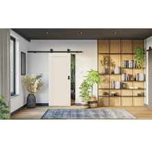 Innenraum mit Schiebetür, Bücherregal und Dekorationen für ein stilvolles Wohnambiente.