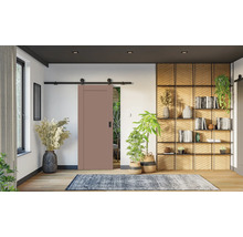 Einrichtungsidee mit Schiebetür, Regal und Zimmerpflanzen für ein helles und modernes Wohnambiente.