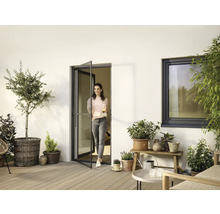 Terrasse mit Terrassentür, Fenster und Pflanzen in Töpfen