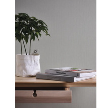 Dekorative Zimmerpflanze in Papierverpackung auf einem Holztisch mit zwei Büchern und einer Schublade.