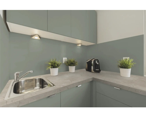 Küchenszene mit Spüle, Armatur, Arbeitsplatte, Pflanzen und Kaffeemaschine