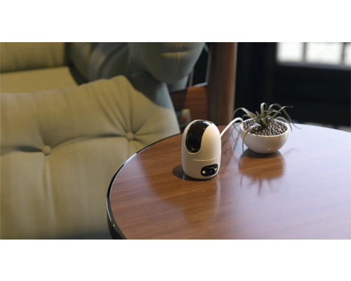Überwachungskamera auf einem Tisch neben einer Pflanze