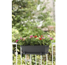 Blumenkasten mit Geranien am Balkongeländer