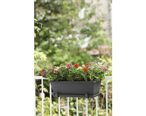 Blumenkasten mit Geranien am Balkongeländer