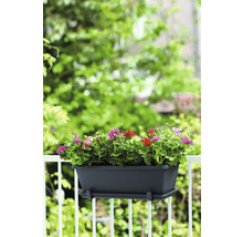 Blumenkasten mit Geranien auf einem Balkongeländer