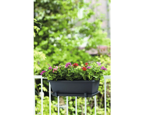 Blumenkasten mit Geranien auf einem Balkongeländer