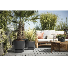 Terrasse mit Pflanzen in grauen Pflanzgefäßen und Sitzgruppe