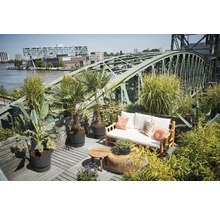 Dachterrasse mit Holzboden, Bank mit Kissen, Tischen und Pflanzen vor einer Stahlbrücke.