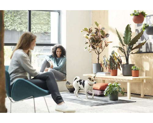 Helle Raumszene mit zwei Frauen, einem Hund und Zimmerpflanzen auf einer Holzbank