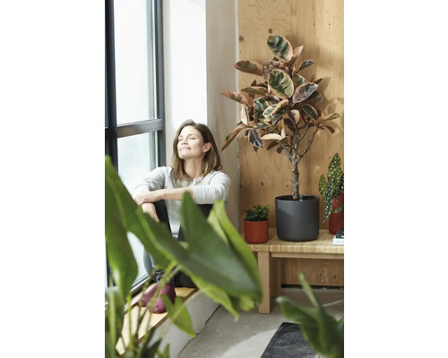 Frau sitzt am Fenster neben Zimmerpflanzen in Töpfen auf einem Holztisch