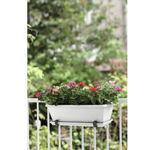 Blumenkasten mit Geranien auf einem Balkongeländer