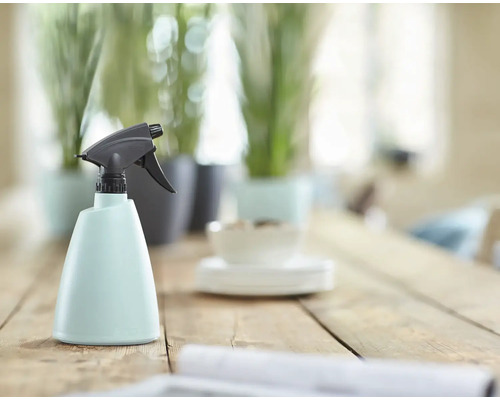 Sprühflasche aus Kunststoff mit Sprühkopf auf Holztisch