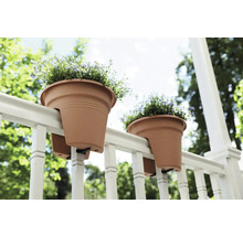 Zwei Pflanztöpfe hängen an einem Geländer mit Blumen.