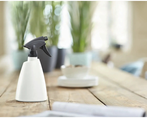 Pflanzensprüher auf einem Holztisch