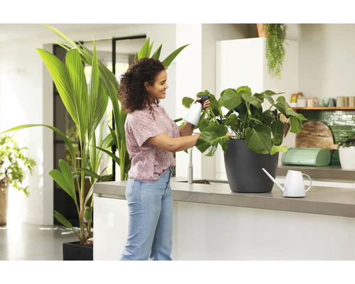Frau sprüht Zimmerpflanze mit Pflanzensprüher in Küche