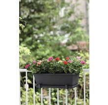 Balkonkasten mit bunten Geranien auf einem Balkongeländer