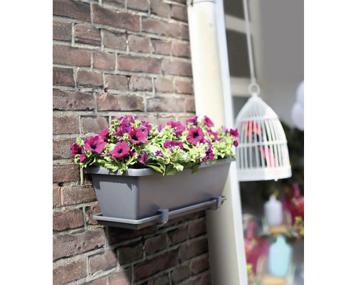 Grauer Blumenkasten mit lila Blumen an einer Ziegelwand