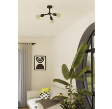 Wohnzimmer mit Deckenleuchte, Sofa und Zimmerpflanze