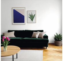 Wohnzimmer mit grünem Sofa, Couchtisch, Zimmerpflanze und Wandbildern