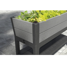 Hochbeet aus Kunststoff mit Pflanzen