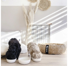 Zwei Hunde fressen aus weißen Futternäpfen in einem hellen Raum mit dekorativen Elementen.