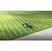 Rasenmähroboter im Einsatz auf einem Rasen