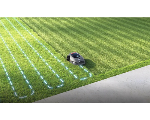 Rasenmähroboter im Einsatz auf einem Rasen