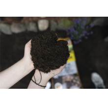 Eine Person hält Blumenerde in ihren Händen.