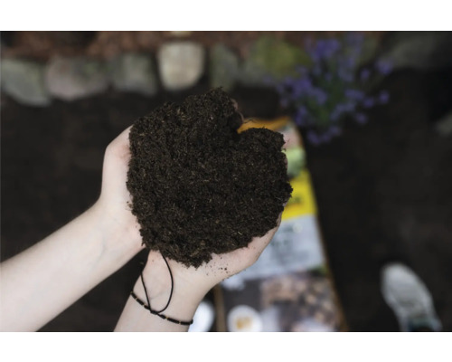 Eine Person hält Blumenerde in ihren Händen.