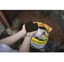 "Eine Person hält Blumenerde in den Händen