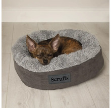 Hund schläft in einem runden, grauen Scruffs Hundebett