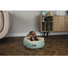 Dackel in einem runden, hellgrünen Hundebett der Marke Scruffs