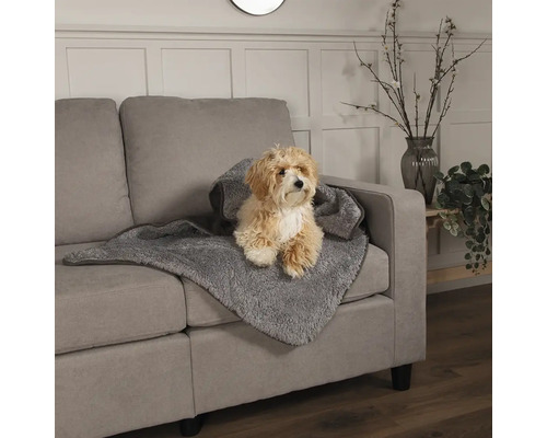 Ein Hund sitzt auf einer grauen Hundedecke auf einem grauen Sofa.