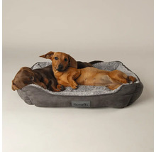 Zwei Dackel ruhen in einem grauen Hundebett mit weicher, flauschiger Innenseite.