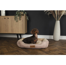 Dackel im Hundebett der Marke Scruffs vor Kommode und Vase