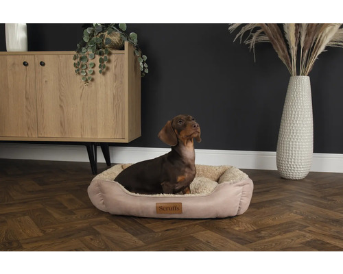 Dackel im Hundebett der Marke Scruffs vor Kommode und Vase